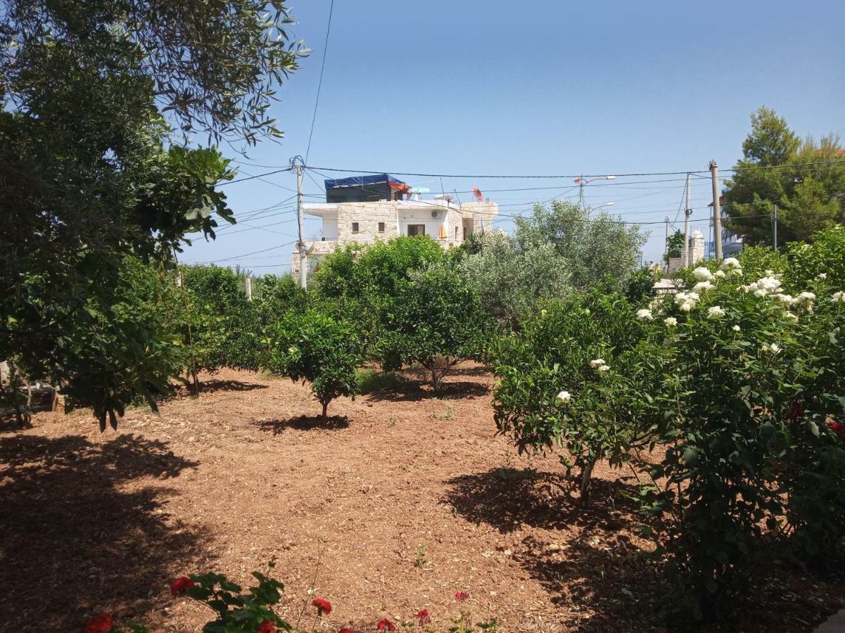 Vila Kylie Ksamil Exterior photo